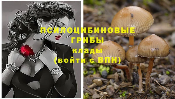 молекула духа Магас