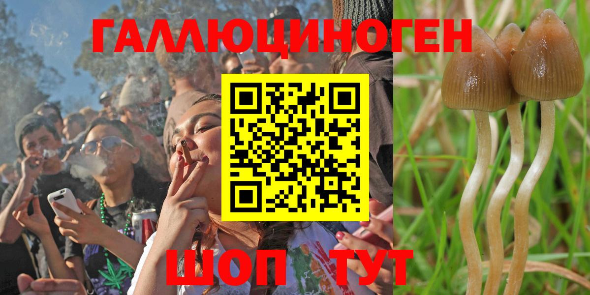 Абакан  Галлюциногенные грибы ЛСД  закладка  Вход с VPN  Галлюциногенные грибы Psilocybine cubensis 