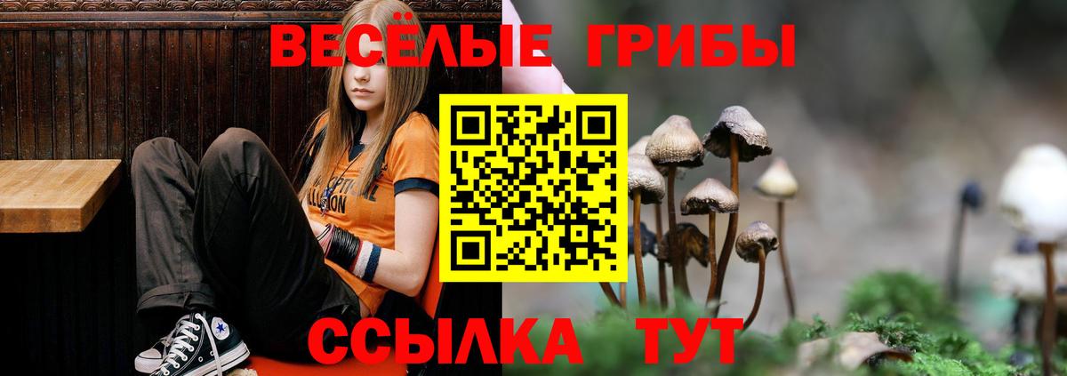 Псилоцибиновые грибы Magic Shrooms Абакан